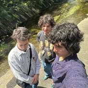 Wallows